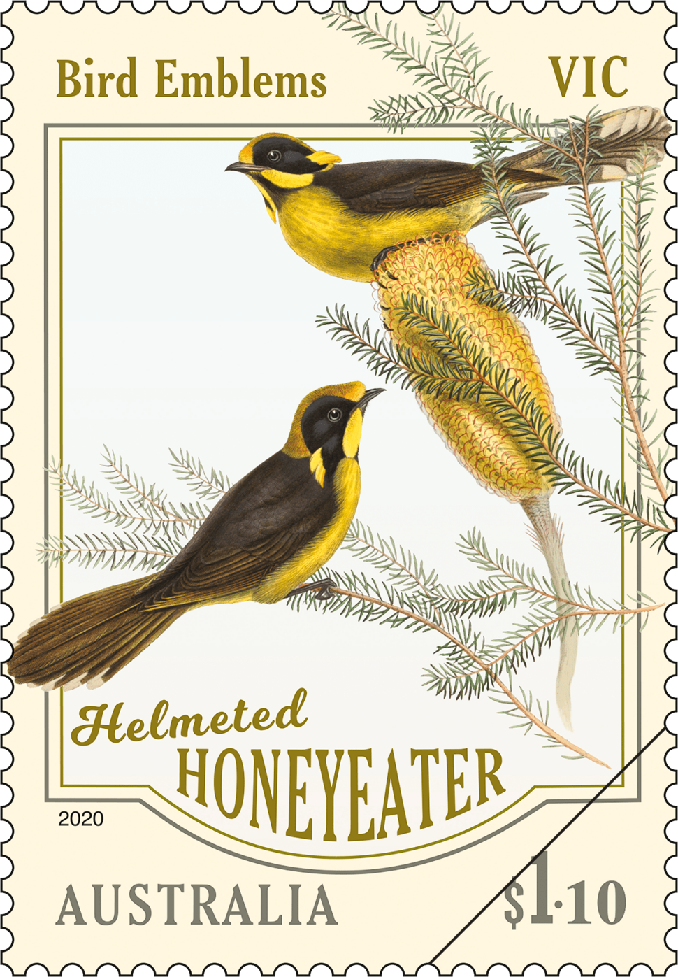 $1.10 - Helmeted Honeyeater